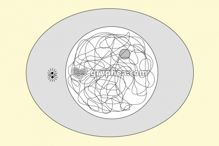 Etape 1 de la mitose dans une cellule animale - vue à colorier et annoter - gryphea.org